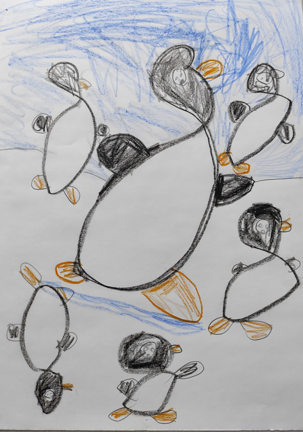 5Pinguin